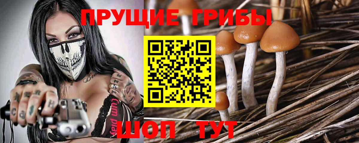 Галлюциногенные грибы прущие грибы  Вход с VPN  купить наркоту  Алатырь 