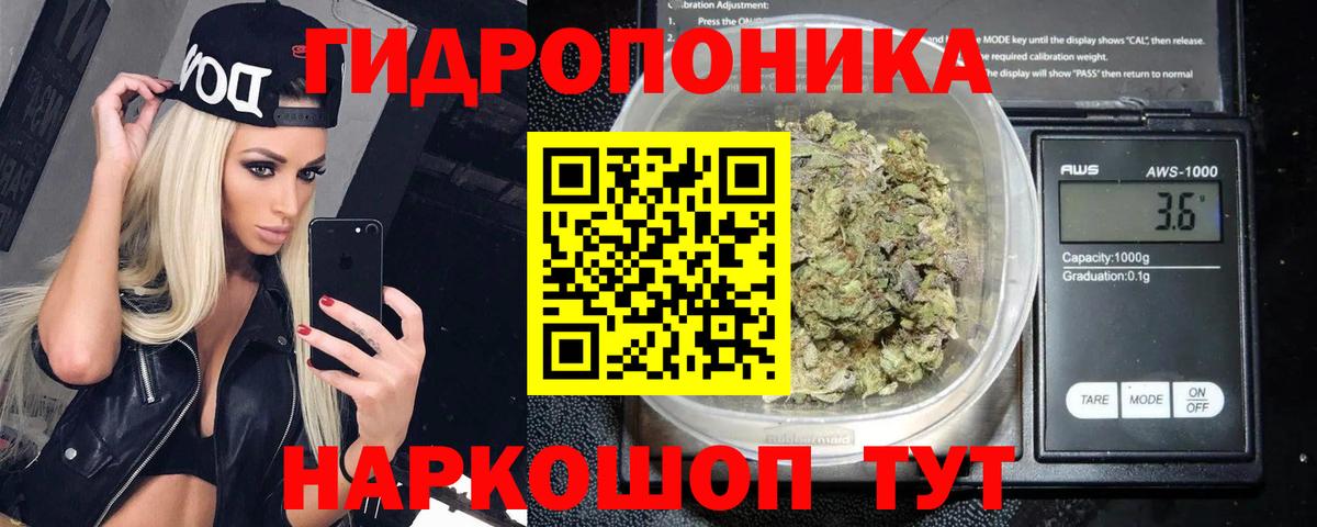 Бошки Шишки семена Алатырь